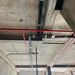 Project 36