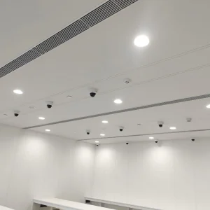 Project 31