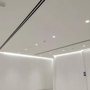 Project 31