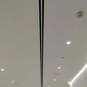 Project 31