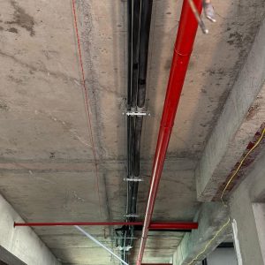 Project 29